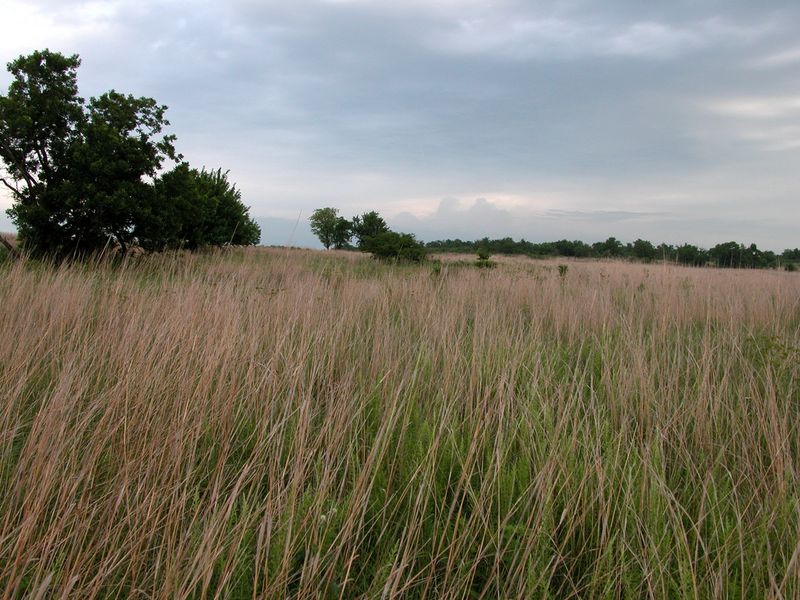 Pontotoc Ridge Preserve Oklahoma's Official Travel